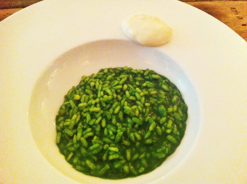 Arroz meloso con plancton