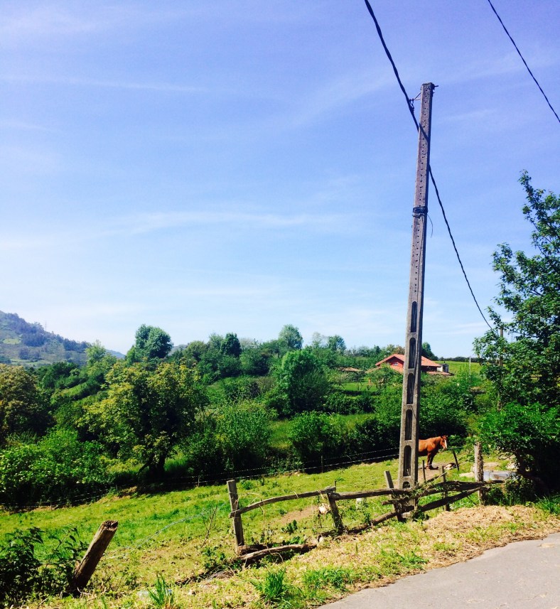 ¡¡¡Qué bonito es Asturias!!!