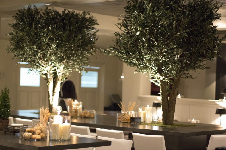 Dos olivos presiden la sala de Ataclub