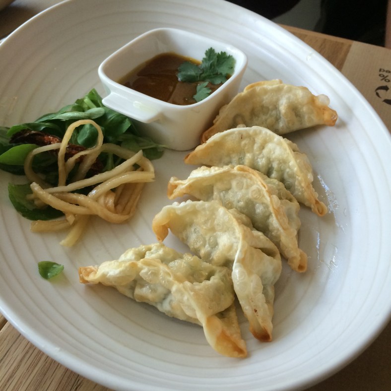 Gyozas de pollo con verduras