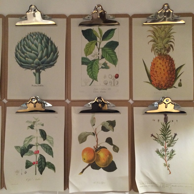 Encontraréis muchos detalles de la huerta