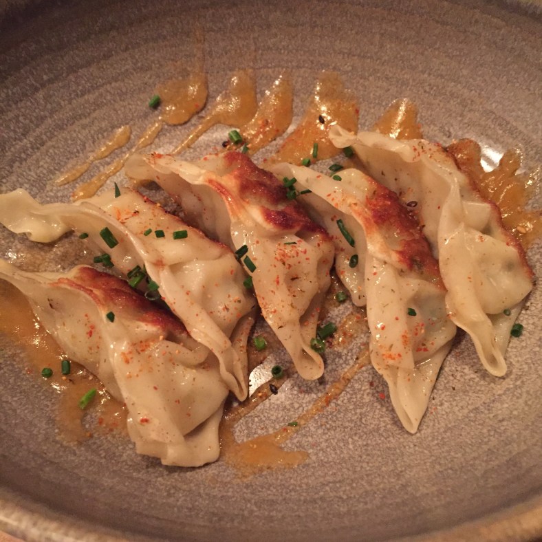 Gyozas de carne y verduras