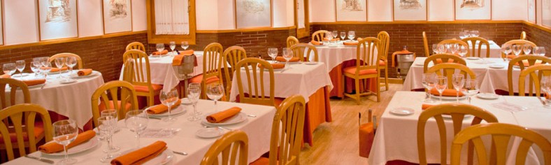 la-flor-de-galicia-ii